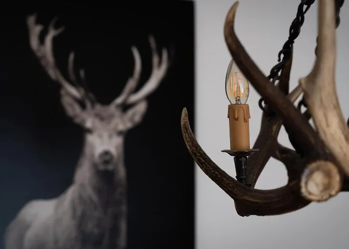 Xxv Aprile 6 アパート